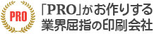 プロが作る暑中見舞い